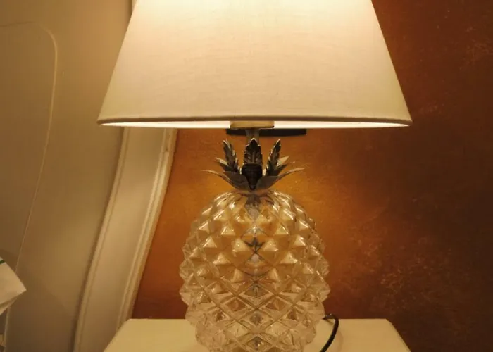 Rio Groppo 招待所