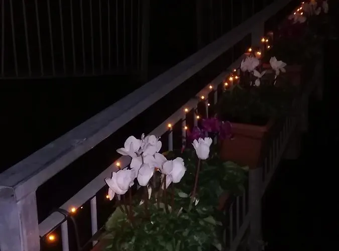 Rio Groppo 4* 马纳罗拉